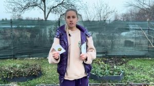 Сажаем морковь с агрономом