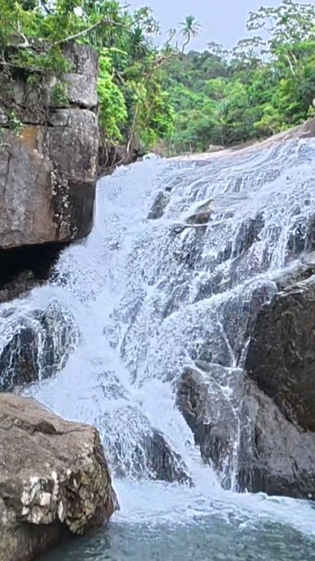 Водопад на острове Орхидей смотреть онлайн