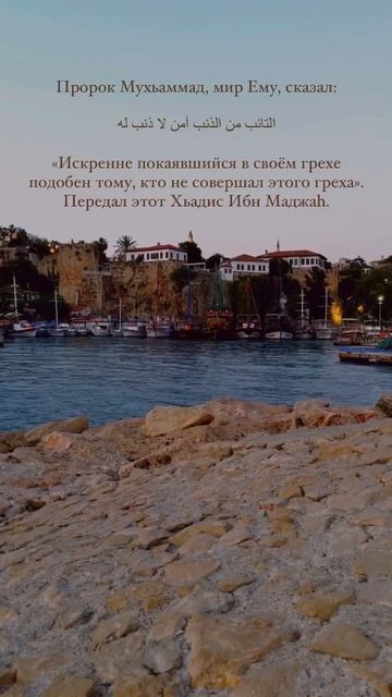 Не переставайте каяться. Шейх Шамиль аш-Шафи'ий. смотреть онлайн