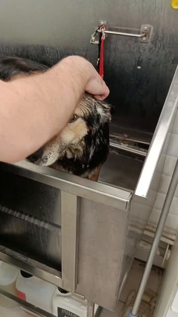 Жизнь - удивительная и непредсказуемая штука.