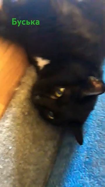 30 апреля 2024 г [get.gt] смотреть онлайн