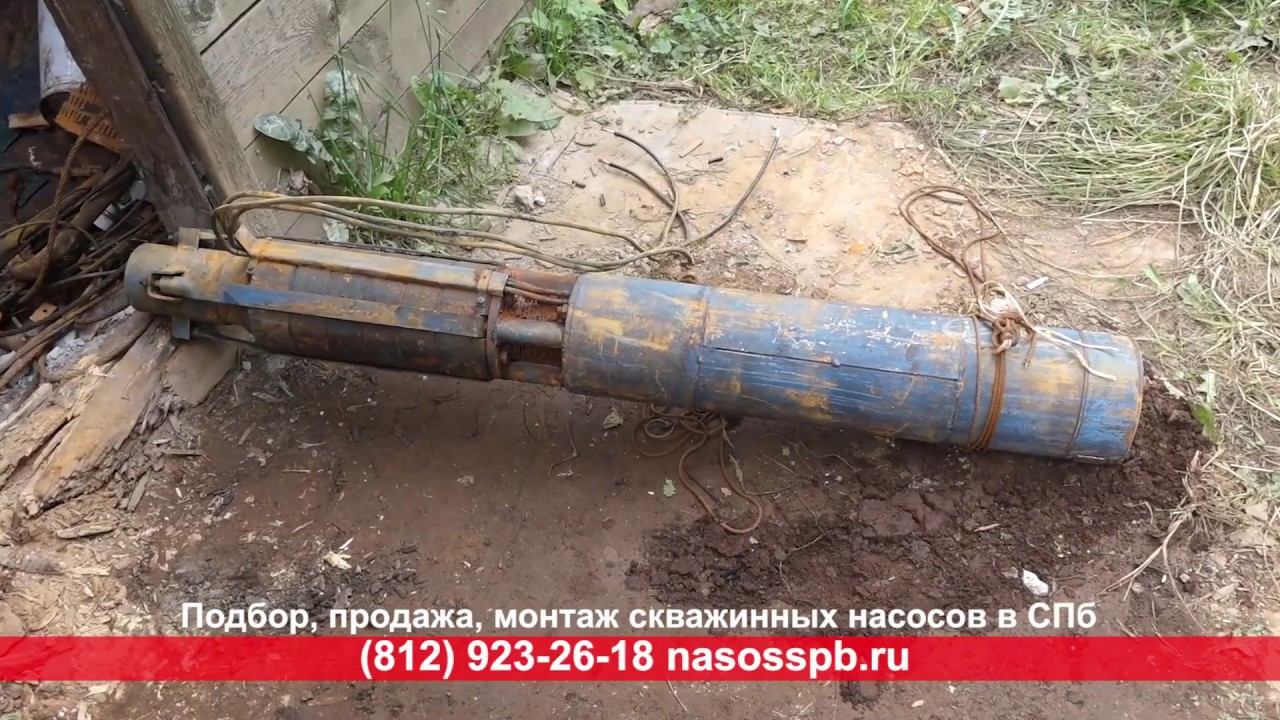 PEDROLLO 4PD 7.5 двигатель для скважинных насосов 5.5 кВт смотреть онлайн