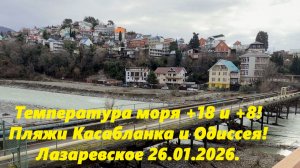 Температура моря +18 и +8! Пляжи Одиссея и Касабланка! Лазаревское 26.01.2026.