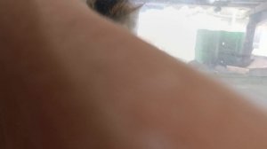 Старенький подарочек ещё от сына студента