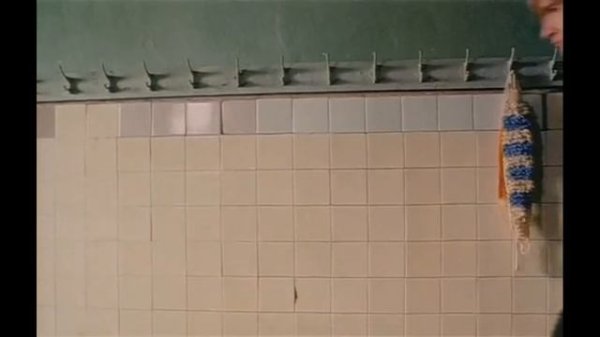 Дикий прапор ДМБ