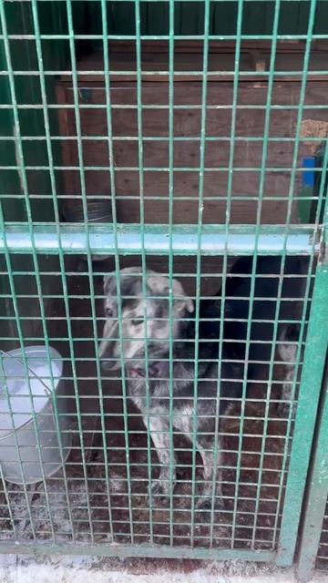 Давно вам не показывали нашего электроника. АРТИК 🙌.