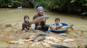 Ловлю гигантскую рыбу и везу ее на рынок для продажи. Готовлю месте со своими детьми. Дуонг