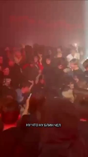 9mice чуть не подрасчитал смотреть онлайн