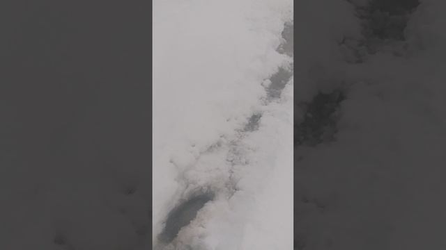 Зимовка активных мотоциклистов