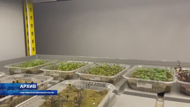 В России активно развивается система агроклассов смотреть онлайн