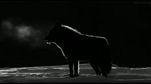 КНИГА ЖИЗНИ