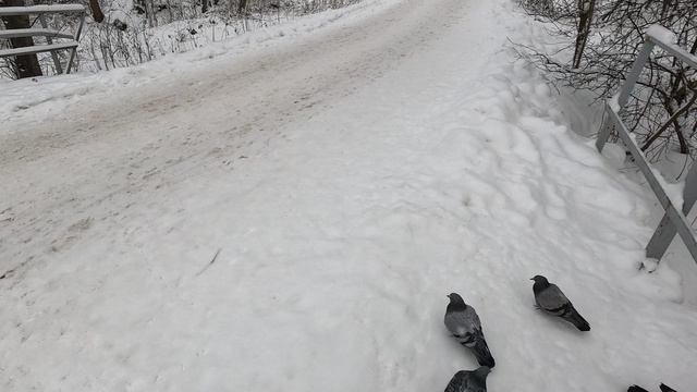 Прогулка по поселку Новозавидово не далеко от курорта Завидово (часть 4)