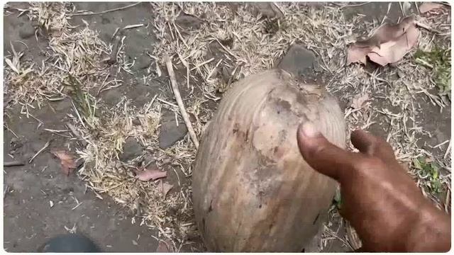 Наедине с природой. Вдали от цивилизации