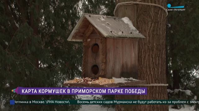 Карта кормушек Приморского парка Победы смотреть онлайн