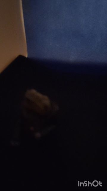 skibidi toilet 77 смотреть онлайн