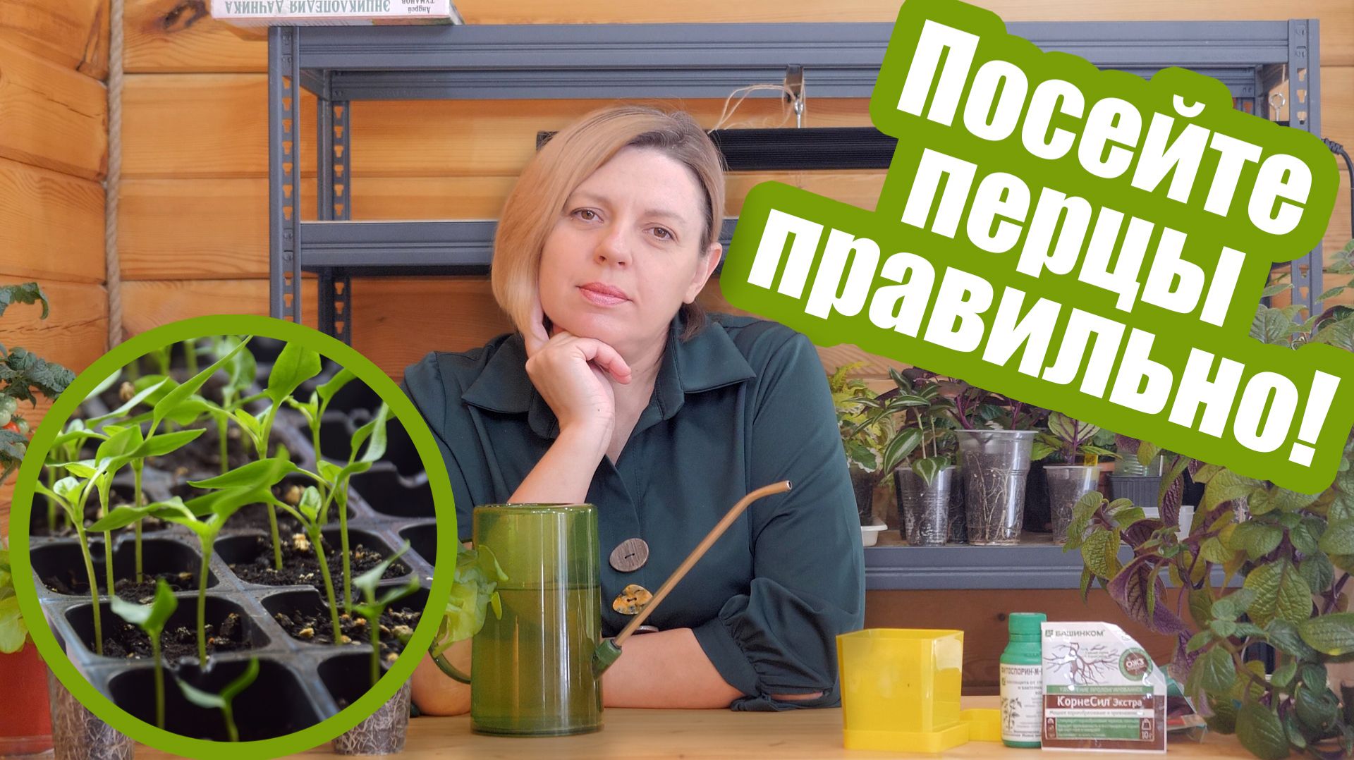 Перец на рассаду: 8 главных ошибок при посеве смотреть онлайн