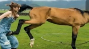 Попробуйте не Смеяться