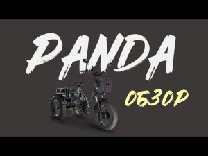 Короткий обзор на Трехколесный электровелосипед E-motions' PANDA