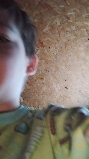 Я сказал что фильм не выйдет🫨💥😨😱