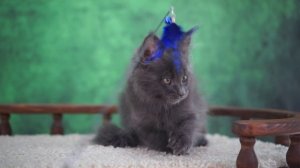 Jonathan 2,5 месяца