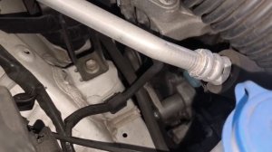 document_5454267892193335528