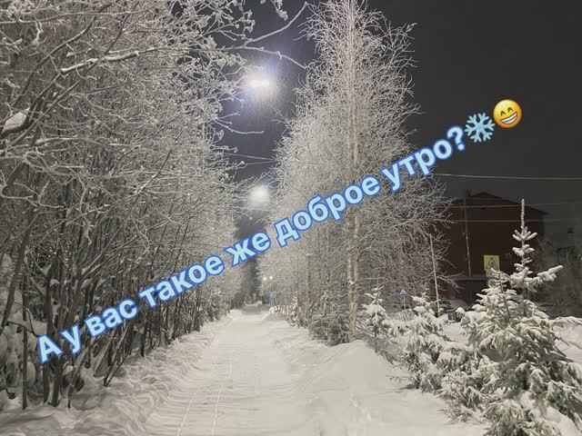 Утро начинается не с кофе🐶❄️😁! смотреть онлайн