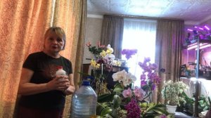 Аммиак перекись водорода и йод для орхидей польза дозировка полив