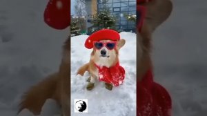Классная песня