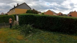 Управляющий МАГАЗИНА высказал мне ПРЕТЕНЗИ: "ПОЧЕМУ я должен стричь ИХ изгородь?"