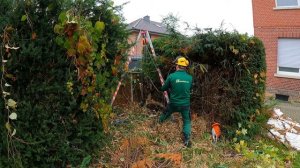 Люди СВАЛИЛИ МУСОР в этот заросший двор, потому что думали, что он ЗАБРОШЕН