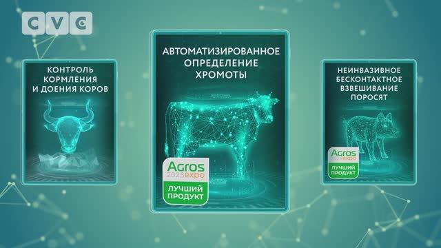 ИИ-видеоаналитика CVC для КРС: контроль кормления и доения, хромота, BCS (упитанность) смотреть онлайн