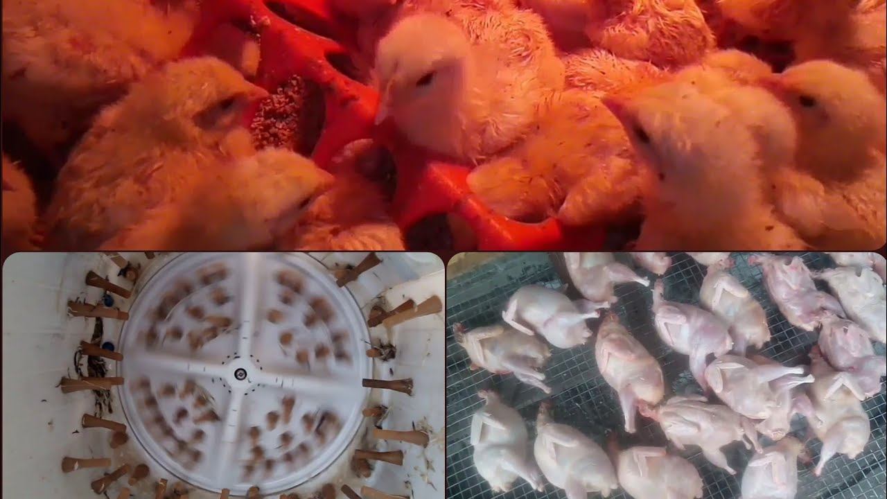 самодельная перосъёмная машина.