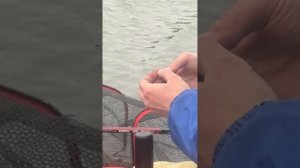 Небольшой влог с соревнований по фидеру на холодном канале 🎣