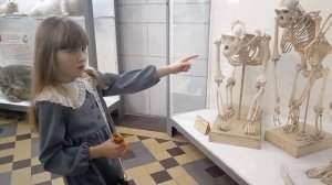 Света Дельфинчик в Санкт-Петербурге