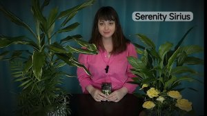 Таро расклад на ситуацию⚡ЧТО ПО СУДЬБЕ ПРЕДНАЗНАЧЕНО⚡Советы Высших Сил⚡подсказки послание вселенной