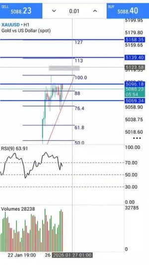 Золото Форекс на 27.01.2026