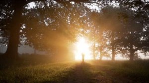 ВСЕ ЛИ НА ФЕРМЕ ЛЮДИ