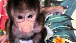 Это НЕ РЕБЕНОК-ЭТО ШЕДЕВР! Николь научилась так прыгать со своего кабриолета😂