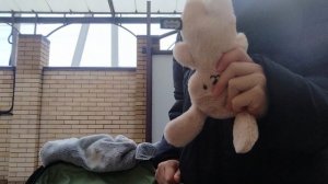 утро с реборном Майей