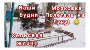 КУПИЛА НОВЫЕ САПОГИ/ЖАРИМ БЛИНЧИКИ/СЕЛЬСКАЯ ЖИЗНЬ/ИСПЕКЛА ШАРЛОТКУ 🥧