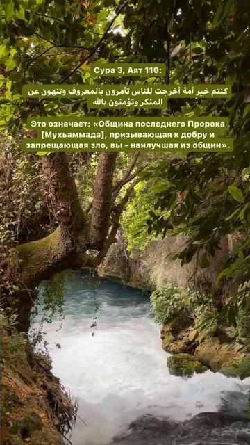 Умма Пророка Мухаммада (Мир Ему и Благословение Аллагьа)🔥🔥🔥 Шейх Шамиль аш-Шафи'ий. смотреть онлайн