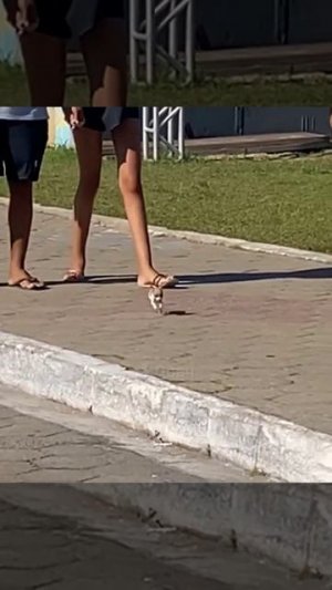 Почему зверюга без намордника