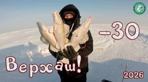 НАДУБАСИЛИ СУДАКА И ЛЕЩИКА НА ГИРЛЯНДЫ И ЖЕРЛИЦЫ В -30 НА ВЕРХНЕМ ТОБОЛЕ, РЫБАЛКА В КАЗАХСТАНЕ!