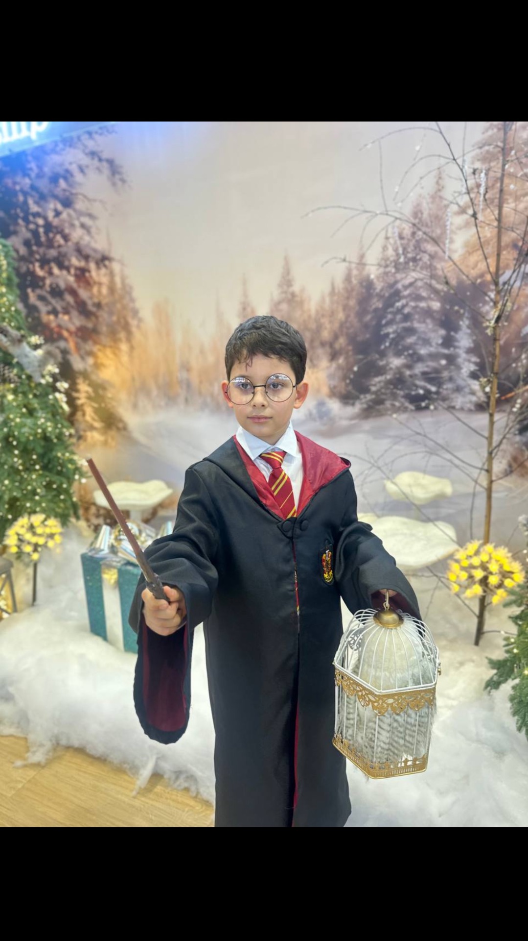 Дом Дурслей в Мираже!