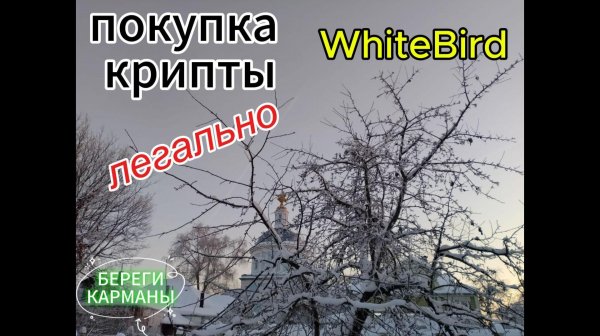 ПОКУПКА КРИПТЫ.WHITEBIRD.