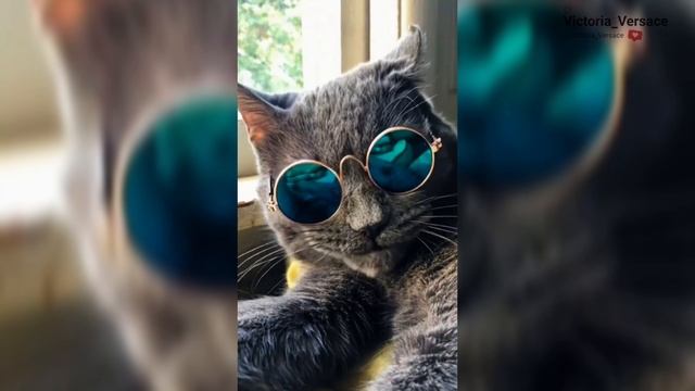 Доброе утречко! Желаю отличного понедельника! #доброеутро смотреть онлайн