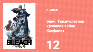 Блич: Тысячелетняя кровавая война — Конфликт 12 серия (аниме-сериал, 2024)