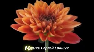 Музыка Для Души КЛЮЧИ ОТ СЧАСТЬЯ Музыка Сергей Грищук @grishchuksergey