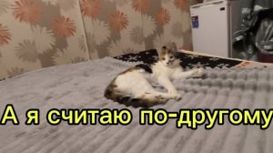 Любашины будни,наконец-то свобода 😄‼️