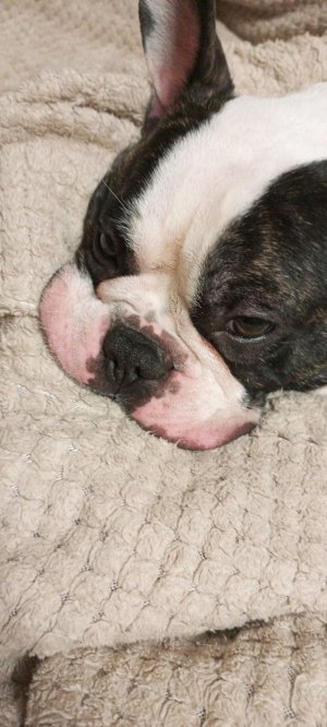 ~ледовая маска~ инструкция по применению~ #лёд #маска #красота